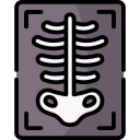 RadRegWiki